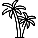 https://redsticksocial.com/wp-content/uploads/2025/02/palms-160x160.png