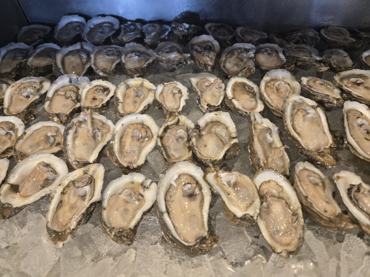raw oyster