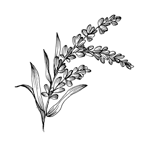 https://redsticksocial.com/wp-content/uploads/2026/04/2.png