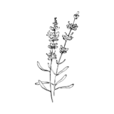 https://redsticksocial.com/wp-content/uploads/2026/04/6-160x160.png