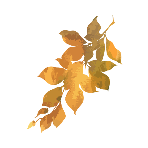 Golden Girl https://redsticksocial.com/wp-content/uploads/2026/09/Golden-Girl-1.png