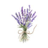 Lavender https://redsticksocial.com/wp-content/uploads/2026/09/Lavender-1-160x160.png